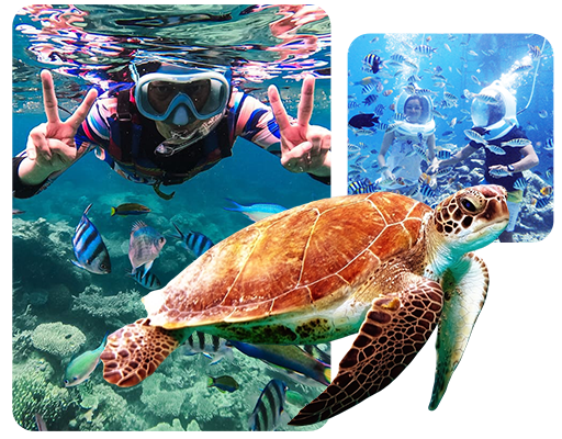 profil-baliwatersportsbooking